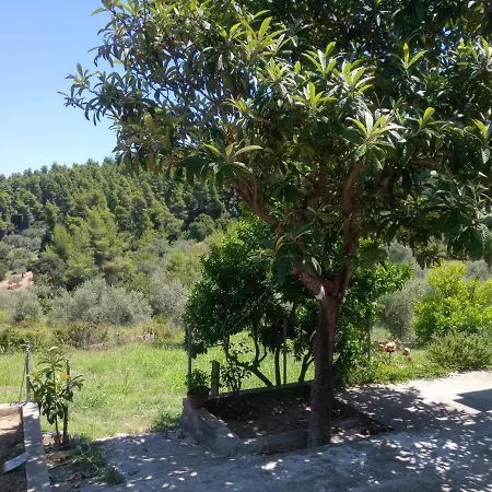 Wildherb House * Agriovotano